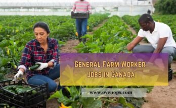 General Farm Worker Jobs in Canada